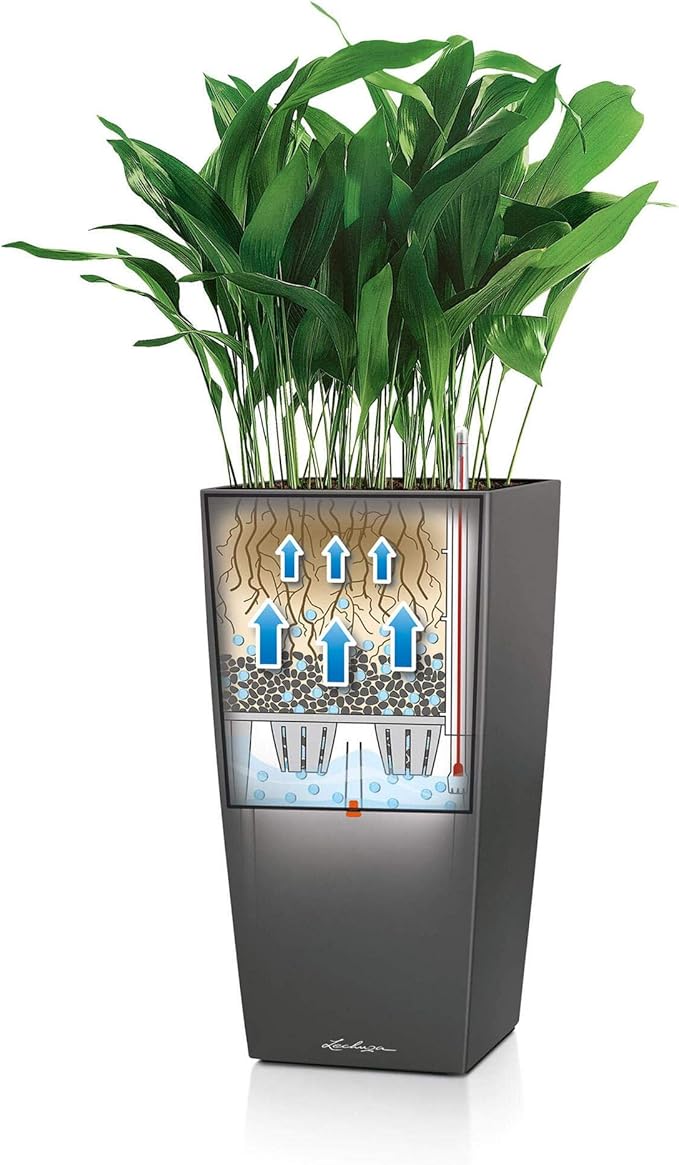 Lechuza Cubico 40 (15.6&quot; D) Self - watering Planter - Charcoal Metallic - My City Plants