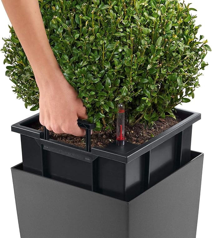 Lechuza Cubico 40 (15.6&quot; D) Self - watering Planter - Charcoal Metallic - My City Plants