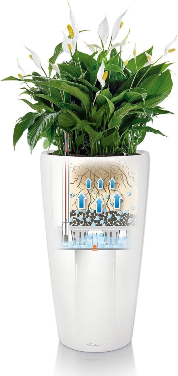 Lechuza Rondo 32 (13&quot;D) Self Watering Planter - Charcoal - My City Plants