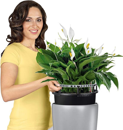 Lechuza Rondo 32 (13&quot;D) Self Watering Planter - Charcoal - My City Plants