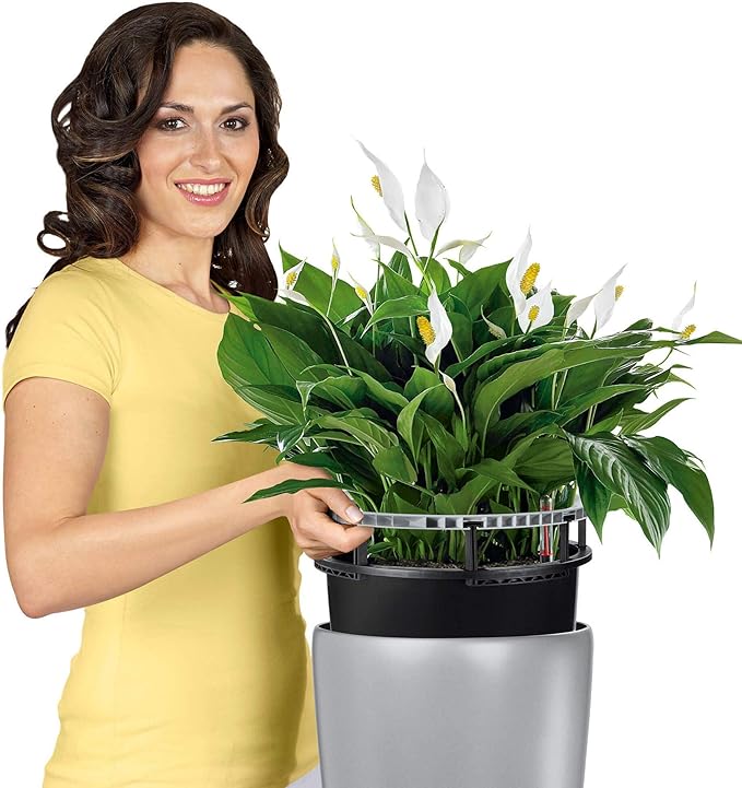 Lechuza Rondo 32 (13&quot;D) Self Watering Planter - White High - Gloss - My City Plants