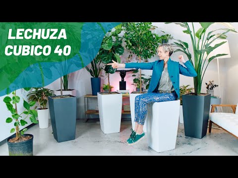 Lechuza Cubico 40 (15.6&quot; D) Self-watering Planter - Charcoal Metallic