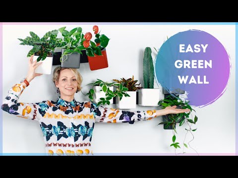 Lechuza Green Wall Home Kit Glossy - Charcoal